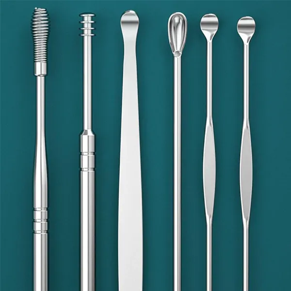 6PCS Ear Pick Set Portable Ear Cleaner Set Stainless Steel With Lather Case